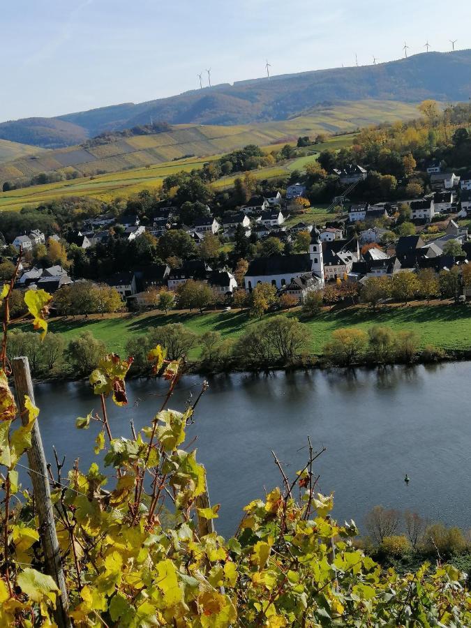 Weingut Licht-Stadtfeld Brauneberg Exterior foto